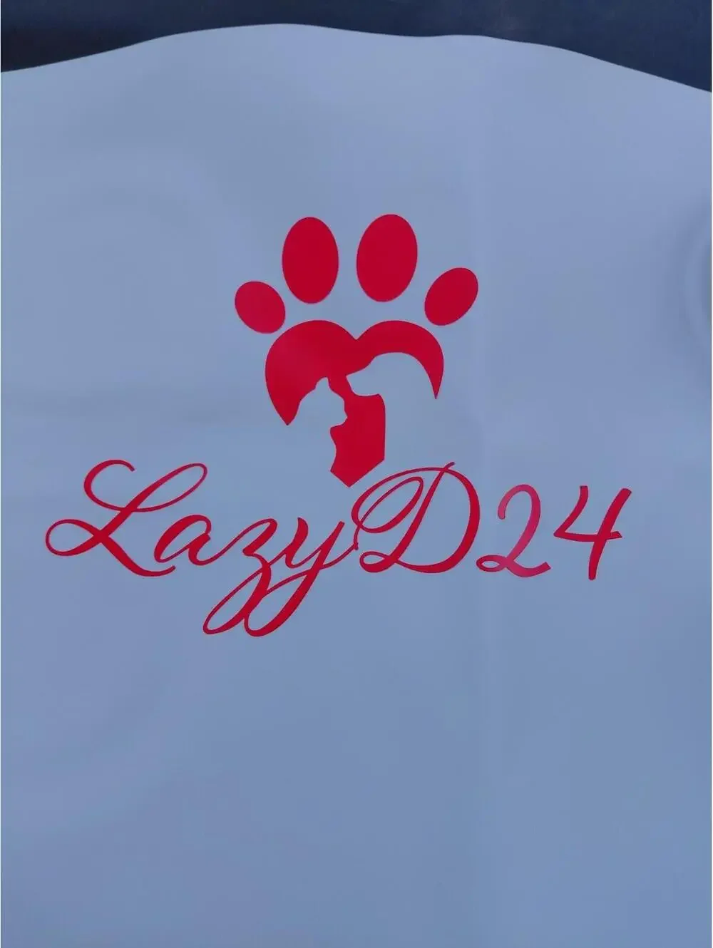 lazy d24 feeding station for your pets 29x21